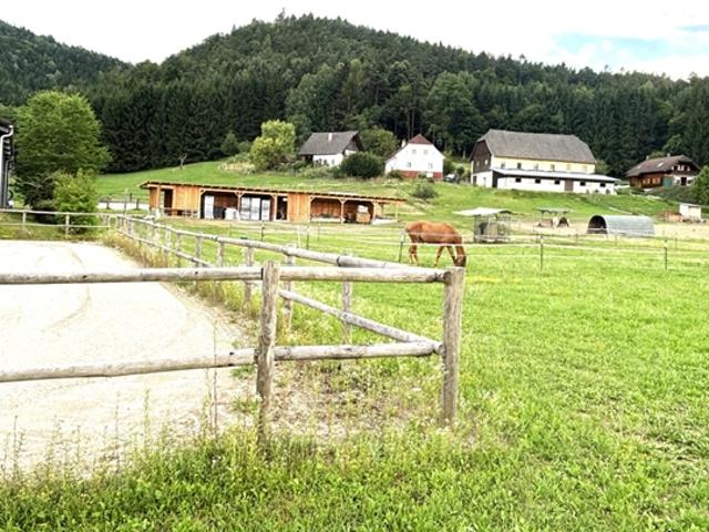 KLEINLANDWIRTSCHAFTLICHES JUWEL! CA.10 HEKTAR WALD! WIESEN! BETRIEBSFLÄCHEN!