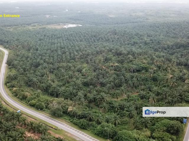 KLIA Freehold Commercial Land