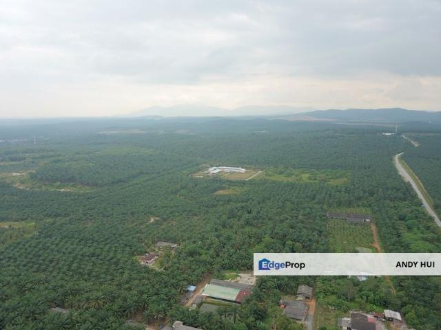 KLIA Freehold Commercial Land For Sale