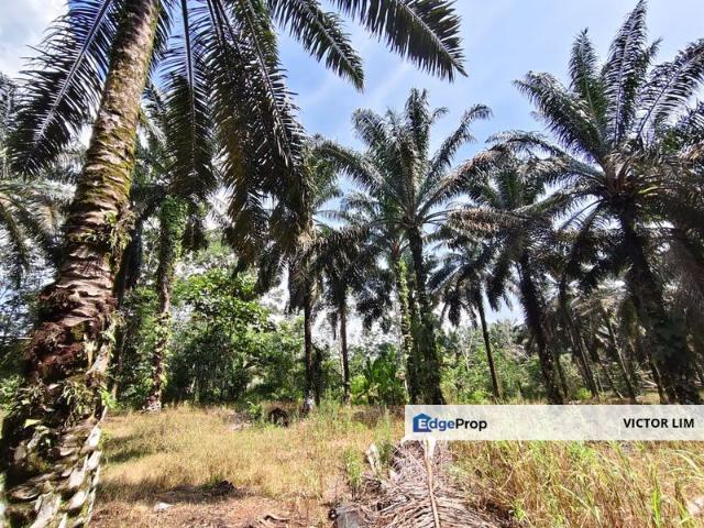 Kluang 4.6 Acres Land