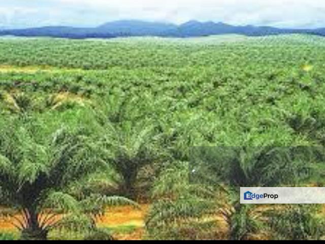 Johor Kluang Mix Development Land For Sale
