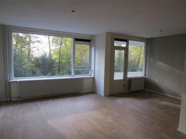 Kluizeweg 322
