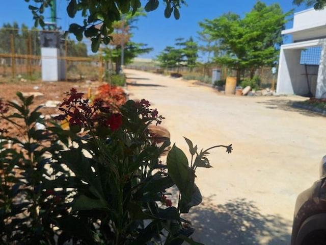 Kns Bhavathi Silver Woods 1200 Sq. Ft. Plot in Anekal Bangalore Listing ID: #10030