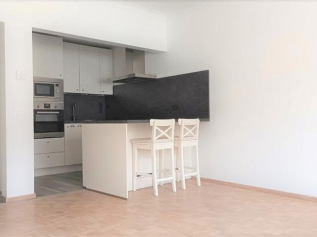 KNUS GERENOVEERD 1 SLAAPKAMER APPARTEMENT MET KELDERBERGING