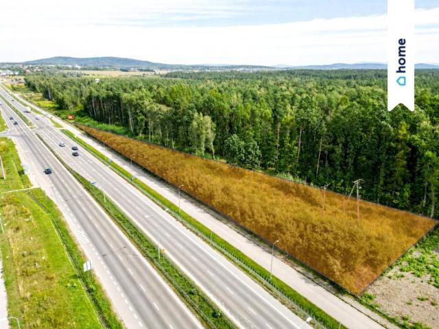 Ks. Piotra Ściegiennego 4 482 m², Kielce