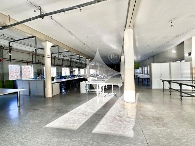 Ks. Piotra Ściegiennego 850 m², Legnica