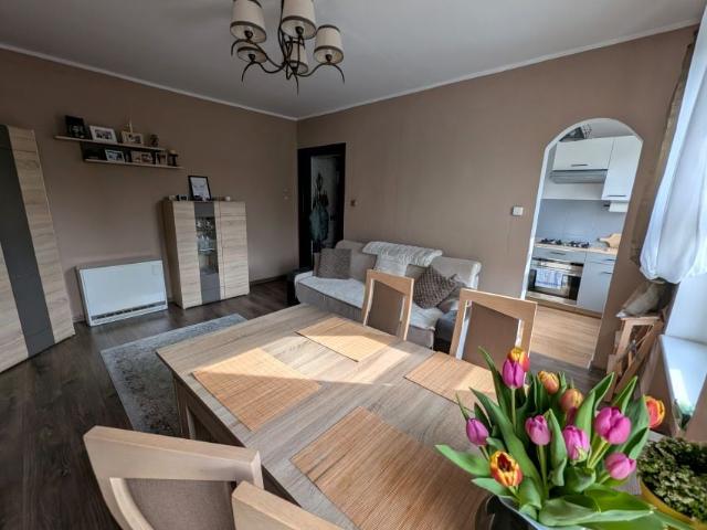 Księcia Bogusława X 39,45 m², Szczecin