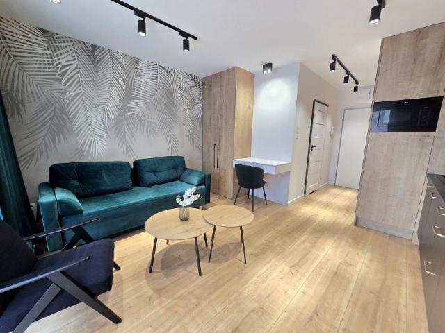 Księcia Witolda 25 m², Wrocław