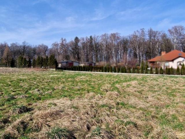 Kręta 1 401 m², Czechowice Dziedzice