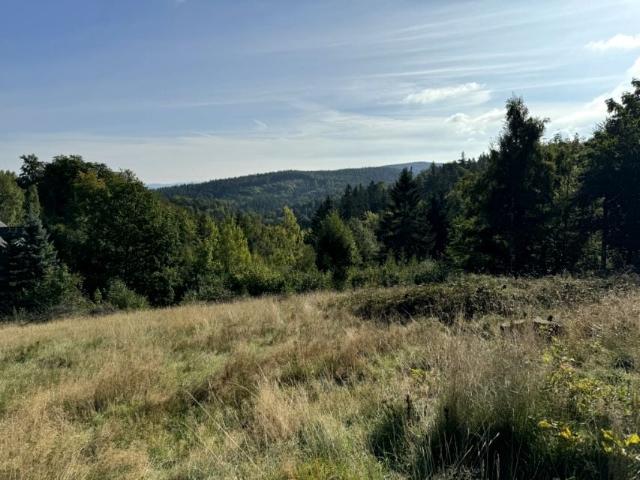 Kręta 2 615 m², Przesieka