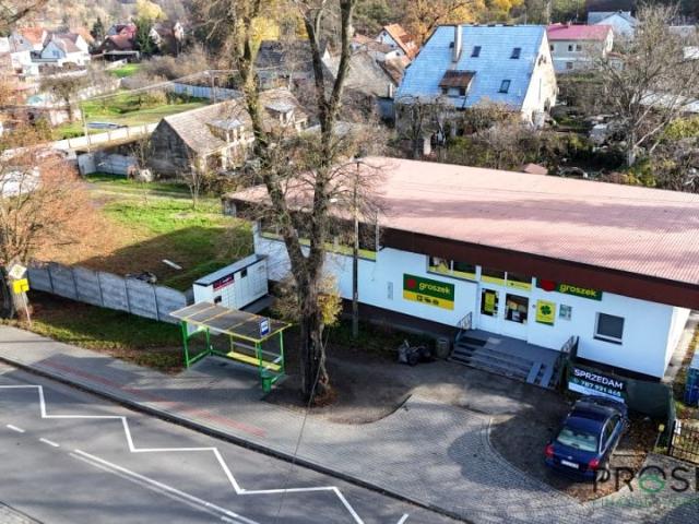 Krępa Odrzańska 215 m², Zielona Góra
