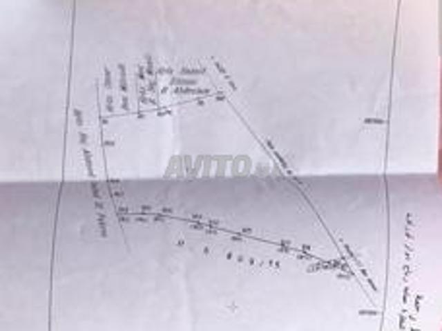 كراء أرض فلاحية ببئر Location Terrain Agricole
