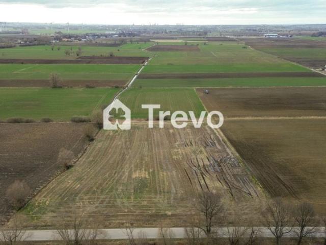 Królowej Bony 3 824 m², Wocławy