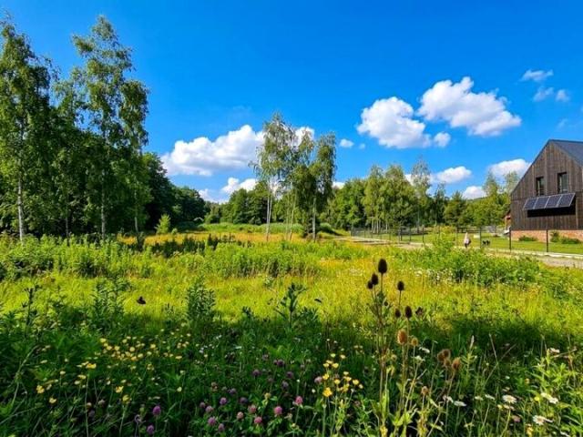 Krajobrazowa 1 000 m², Słupice