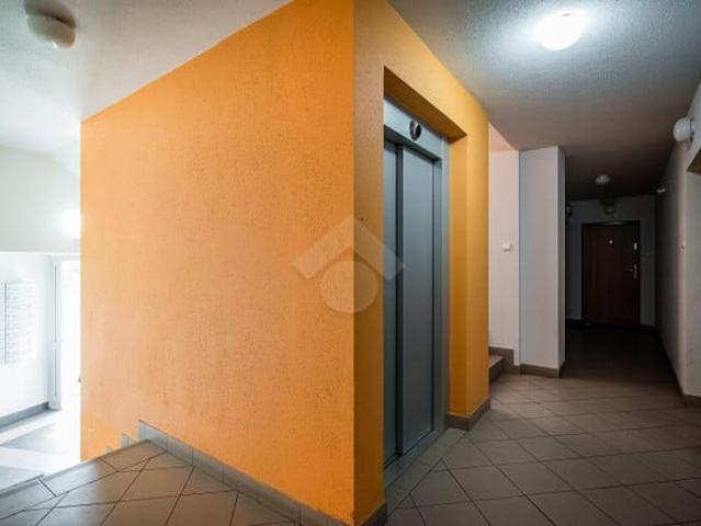 Kraków, Bronowice, Eljasza Walerego Radzikowskiego