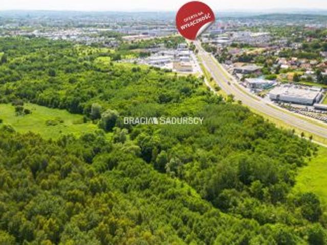 Kraków, Prądnik Biały, ul. Jasnogórska, 11673 m² Działka