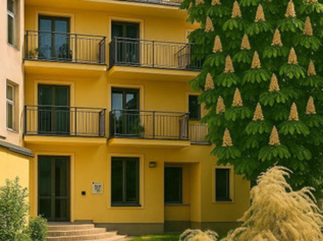 Kraków M. Kraków, Podgórze, Stare Podgórze, Józefińska