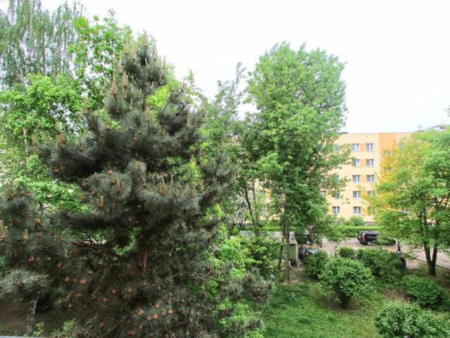 Kraków, Podgórze, Bieżanów, Duża Góra