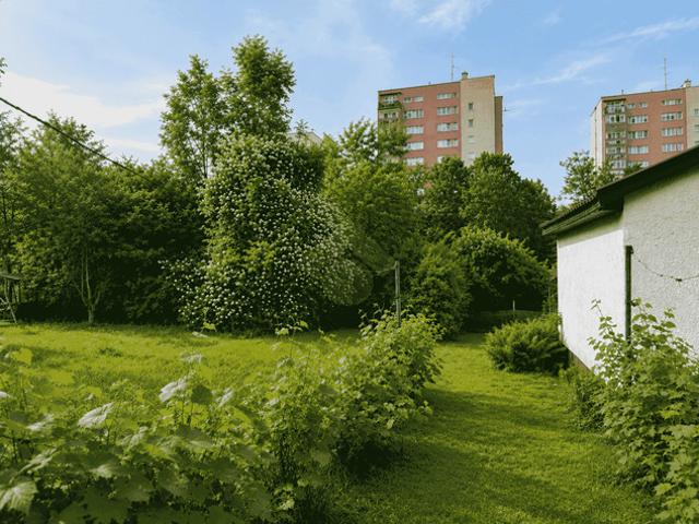 Kraków, Prądnik Biały, Azory, Władysława Łokietka