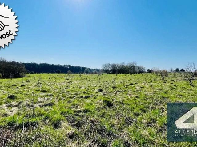 Działka pod inwestycję z domem, media, 4165 m2, Kraków