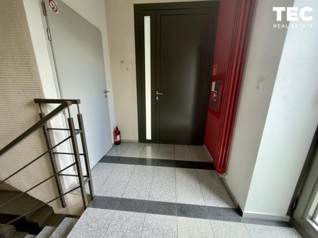 Kraków, Zwierzyniec, Królowej Jadwigi