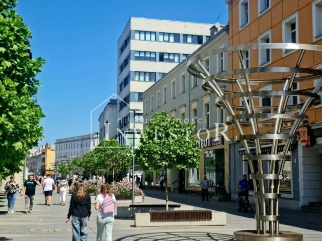 Krakowska 275 m², Opole