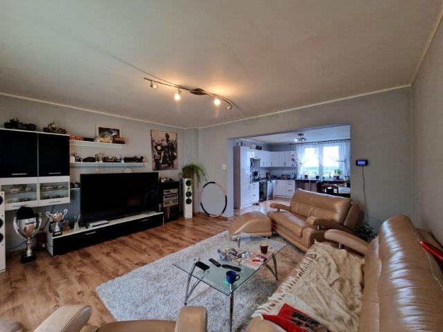 Krakowska 270 m², Woźniki
