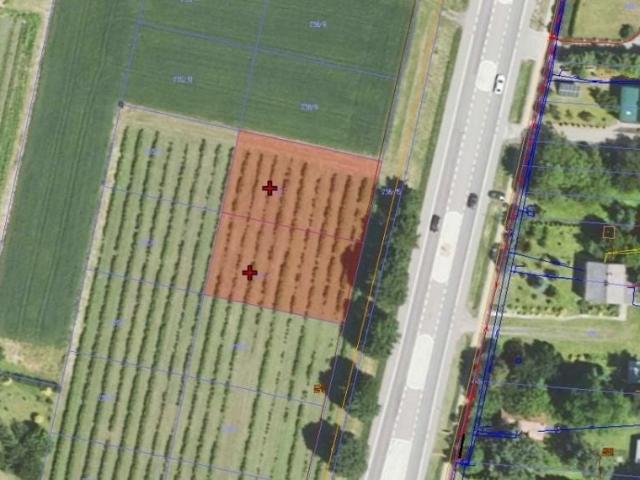 Krakowska 830 m², Orły