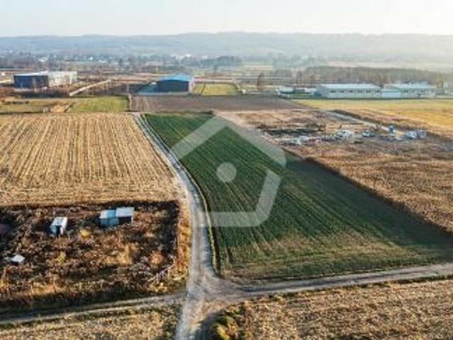 Krasne, 1000 m² Działka