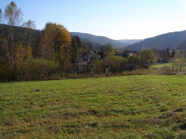 Krempna, 3 412 m2
