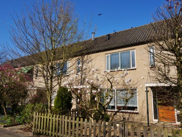 Kringloop, Amstelveen, Nederland