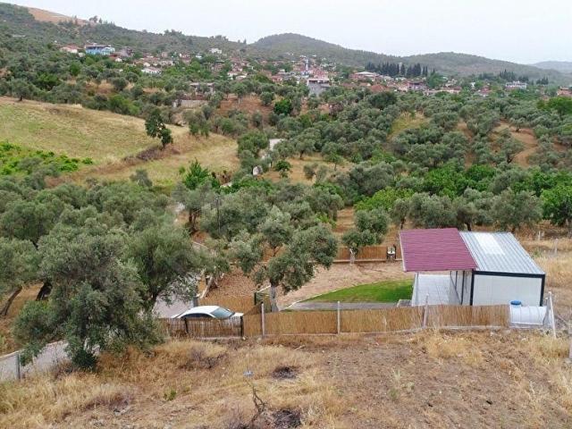 KRV İNŞAAT EMLAKTAN DİRMİL KÖYÜ SATILIK NUMARATAJLI 420 M2 İÇERİSİNDE 1+1 EVİ OLAN ZEYTİNLİK