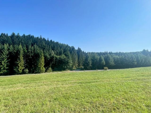 Krynica Zdrój, Kopciowa, 5 100 m2