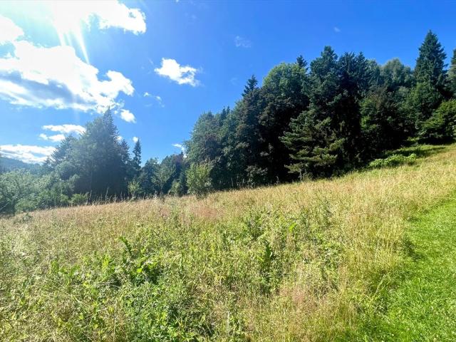 Krynica Zdrój, 27 647 m2