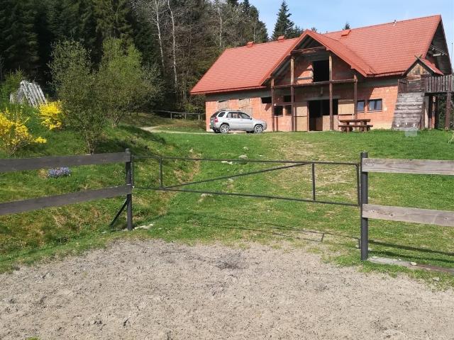 Krynica Zdrój, 35 000 m2