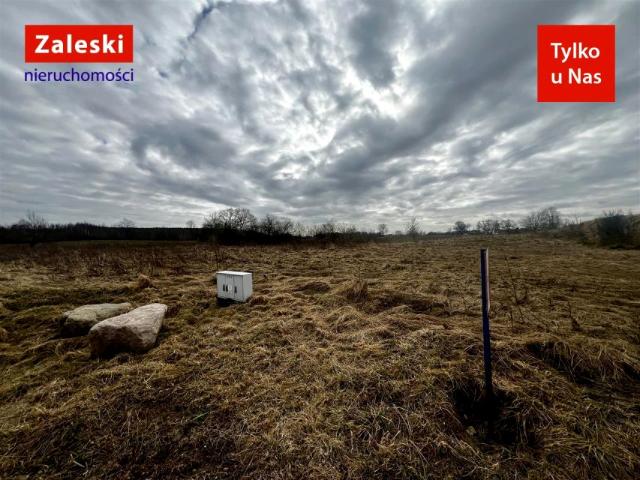 Kryształowa 2 352 m², Trąbki Małe