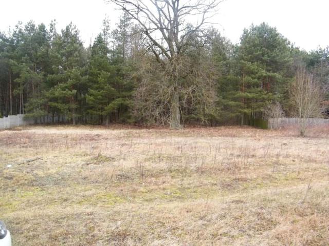 Krzywopłoty 5 458 m², Krzywopłoty