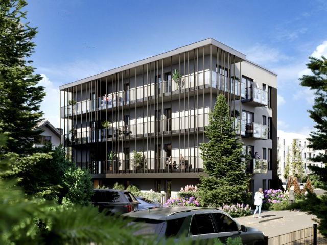 Krzywa 14 30,41 m², Poznań