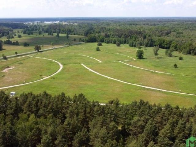Krzywa Góra 733 m², Krzywa Góra