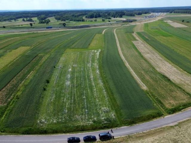 Krzywa Wieś 13 000 m², Kamień
