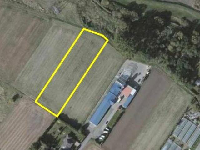 Krzanowicka 4 887 m², Opole