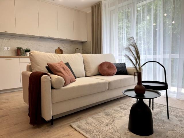 Krzemieniecka 42 m², Łódź