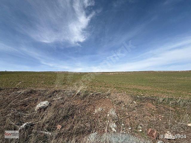 KW ANGORA'DAN GÖLBAŞI OYACA'DA 500 M HİSSELİ