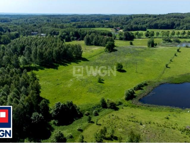 Kwietnik 16 650 m², Kwietnik