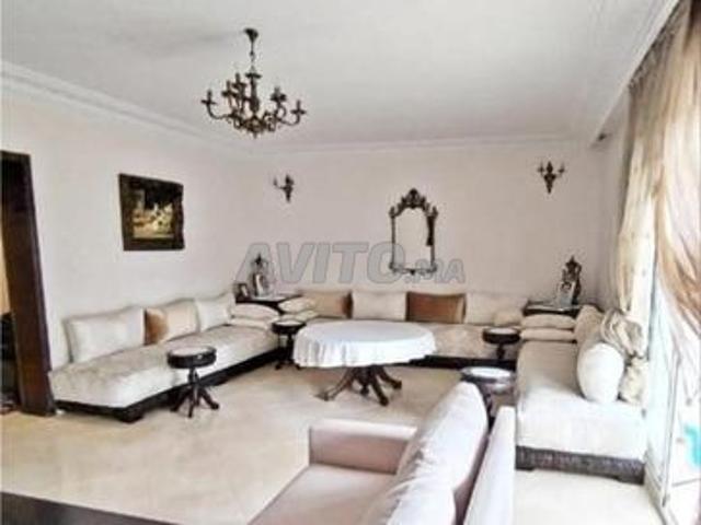 Kوتي معاريف