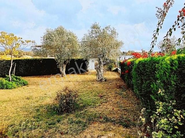 Kuşadası Değirmendere'de 4+1 Müstakil Villa