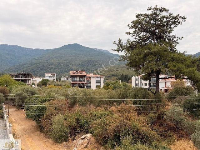 Kuşadası Güzelçamlı’da Orman Manzaralı 2+1 Dubleks Daire