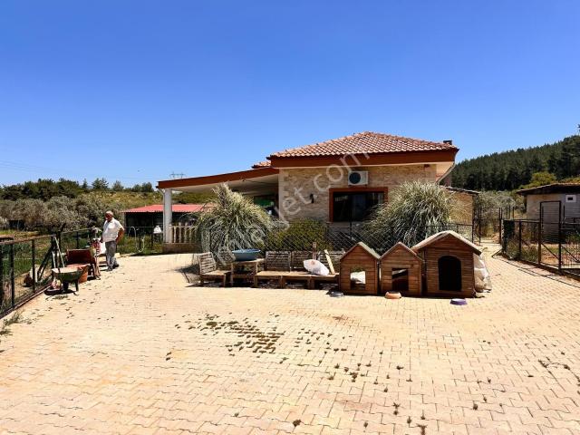 Kuşadası Yeniköy'de Huzur Arıyanlara 3600m² Arsada Müstakil Ev villa Takaslı