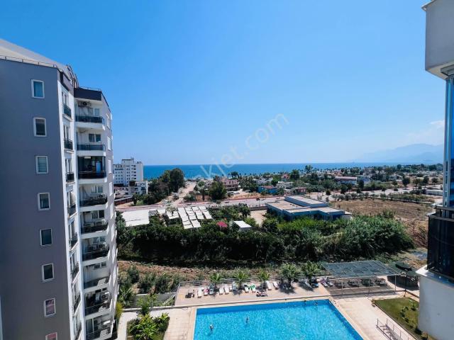 Kuşkavağı Mahallesi 3+1 Satılıkdaire
