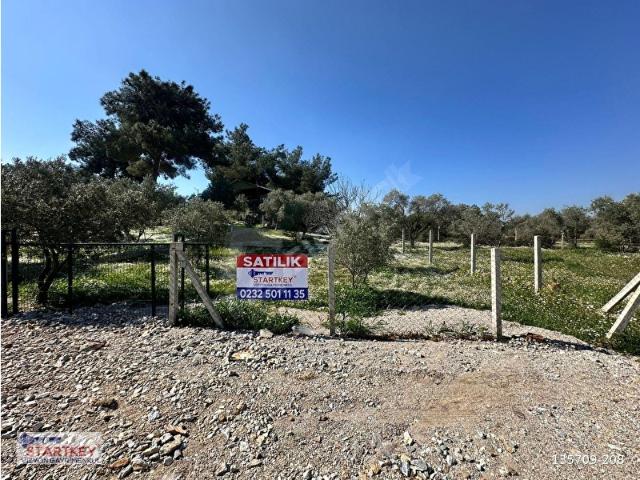 Kuş sesleri içinde Yazıbaşı'nda 500m2 huzur bahçesi.